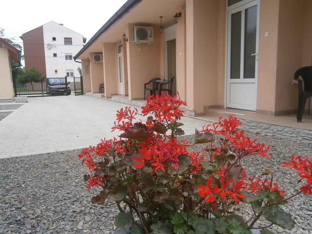 Apartments Svetlica Backi Petrovac Zewnętrze zdjęcie