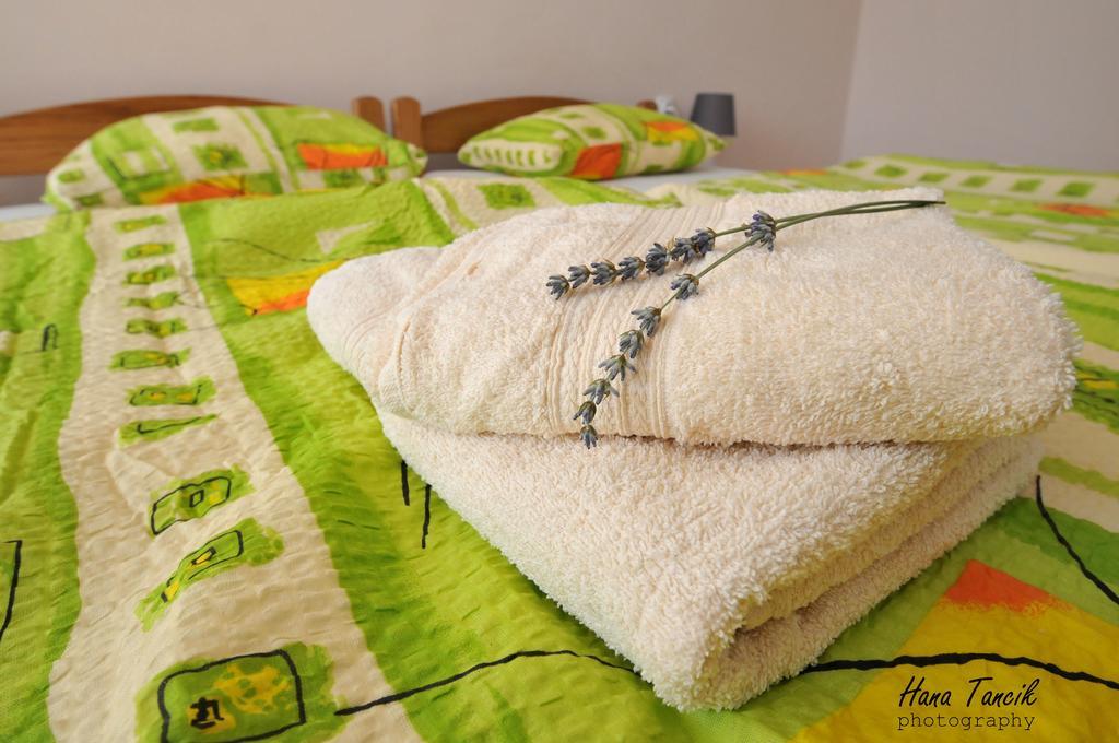 Apartments Svetlica Backi Petrovac Zewnętrze zdjęcie