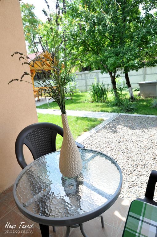 Apartments Svetlica Backi Petrovac Zewnętrze zdjęcie