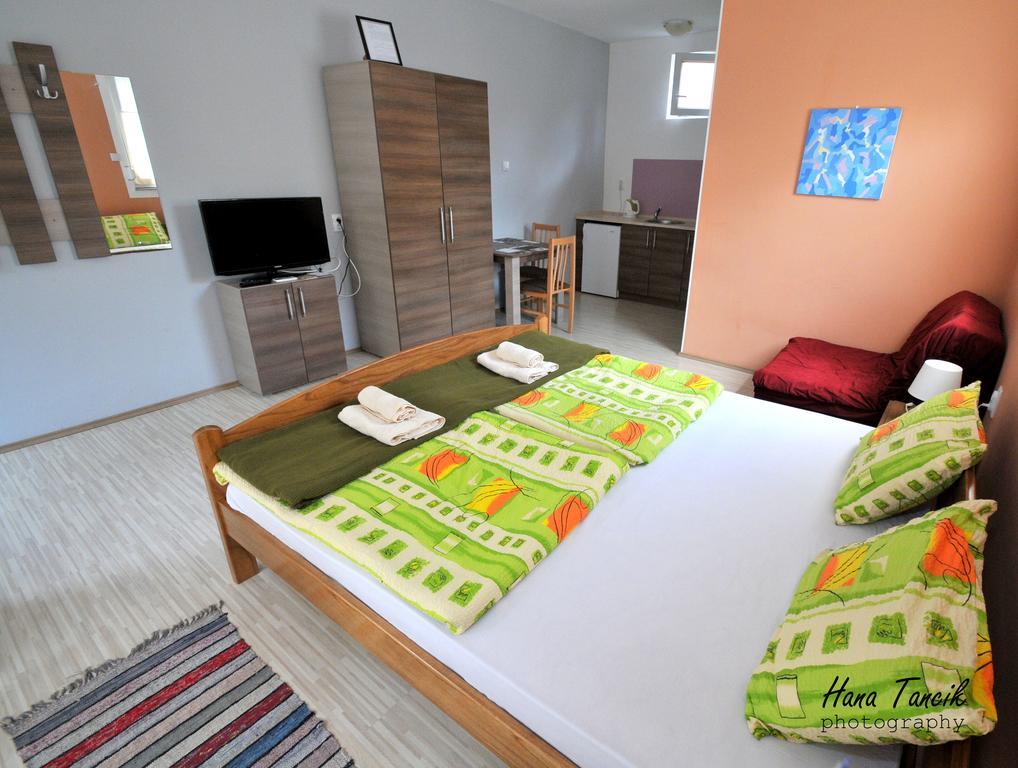 Apartments Svetlica Backi Petrovac Zewnętrze zdjęcie