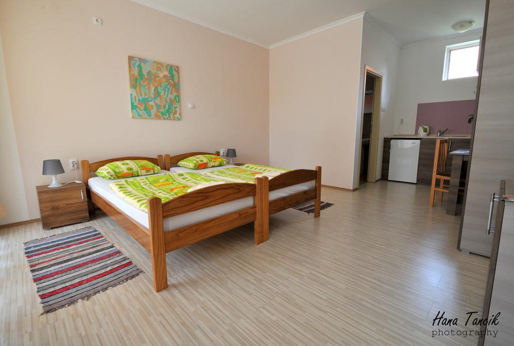 Apartments Svetlica Backi Petrovac Zewnętrze zdjęcie